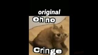 Oh no cringe