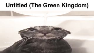 Listening to Hotline Miami 2 OST be like