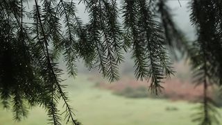 nature 7