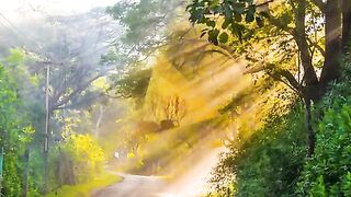 Best nature sun rise scene