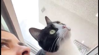 Cute and Funny TikTok Animal Videos You Can't Resist 6