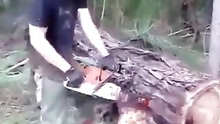 Darakhat sa khon nekla