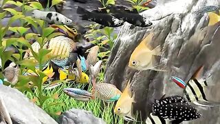 ALLAH HU AKBAR .. THE NATURE IS SO BEAUTIFULL