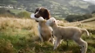 ANIMALS TAKE CARE OF ANIMALS BUT SHAME FOR HUMAN ?