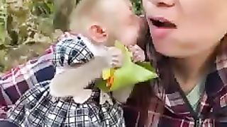 Lovely baby monkey