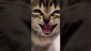 Super hard smile