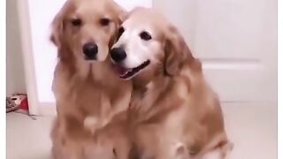 Please forgive me I won't do that again????