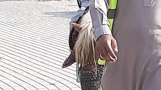 Enjoy too much in zoo