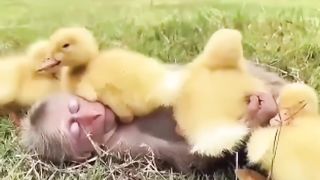 Lo mas Lindo que veran hoy