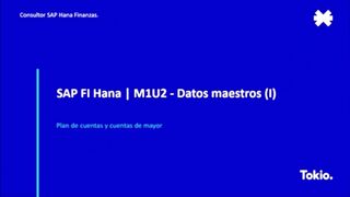 Datos Maestros 1