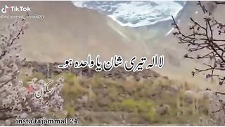 Naat Naat 3