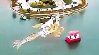@#Best amazing video@# viral video@# Short video