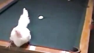 Goal????