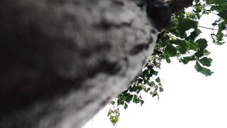Beautiful slow mo ????