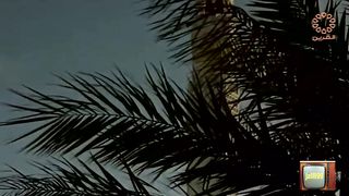 المسلسل الكويتي يوميات صايم ١٩٩٦م الحلقة 19 jalili99