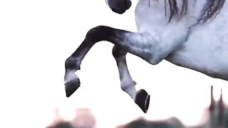Motivational quotes with horse