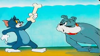 tom and jerry cartoons