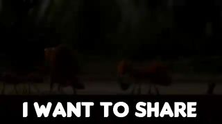 Wisdom Of The Ants - Best Motivational Video