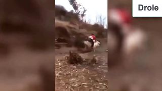 Stupid Fails | Instant Regret Compilation | Funny 2023