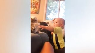 funny kids and animals fails ;) 2023