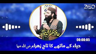 ظفر شہزاد گجر 2