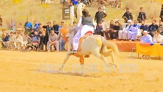#best#riding#of#one man #Rider