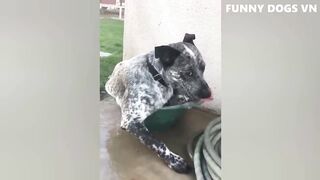 Try Not To Laugh - Funny Fails Make You Can't Close Your Mouth !!! Enjoy