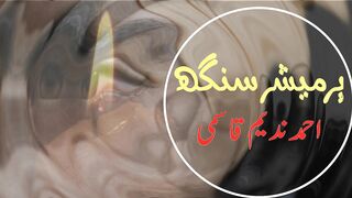 Parmeshar Singh2, A Story of kindness, written by Ahmed Nadeem Qasmi,