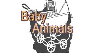 Cute Baby Animals _ Kids Learning Videos