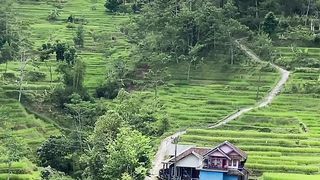Pemandangan alam 2