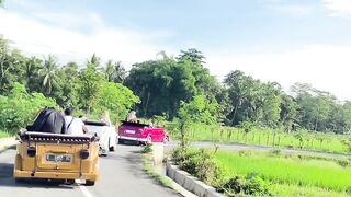 Pemandangan alam 3
