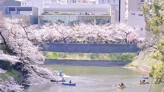 Pemandangan di kota tokyo