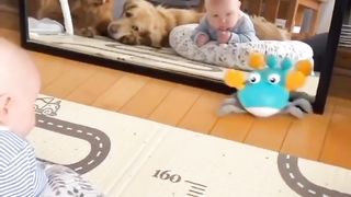When the baby and the dogs all agree on a favorite toy... you know it's a winner! Who else loves watching their fur babies play?