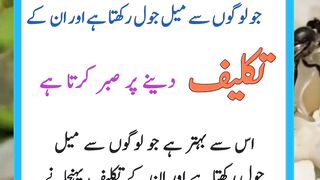 Urdu Islamic Knowledge || Hindi Islamic Knoledge || Viral Short || #shortfebspot