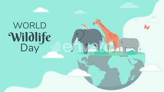 Animals Diana Roma Animals Wildlife Video Baby Animals