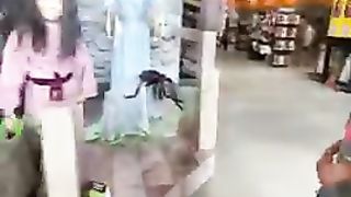 Video Funny 1000k 3