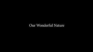 World of Nature