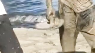 Very very funny video ????????????????????