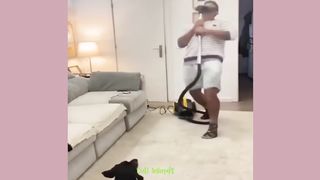 Funny Dog and Cat Funiest Animals