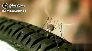 New video upload # Shararte Macther funny clip 2023