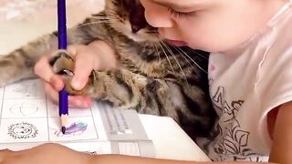 Cat love 2