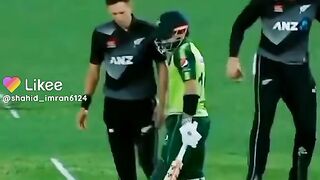 Cricket 13