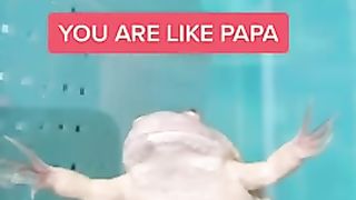 Funny tiktoks that actually made me laugh
