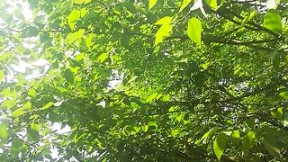 Beautiful area 2
