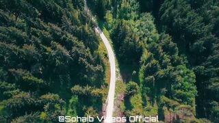 Jungle 4k - Most Beautiful Natural Scene