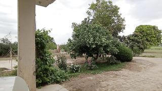 Beauty of Allah 2
