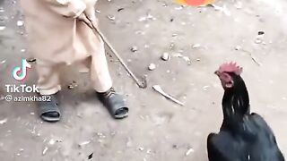 Tik tok 29