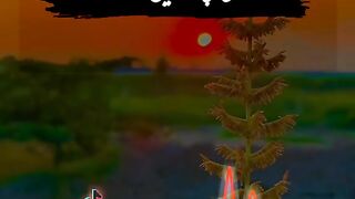 tik tok 42