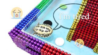 DIY how to build mini swimming pool for pet