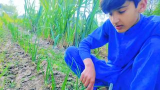My first vlog on febspot 2023